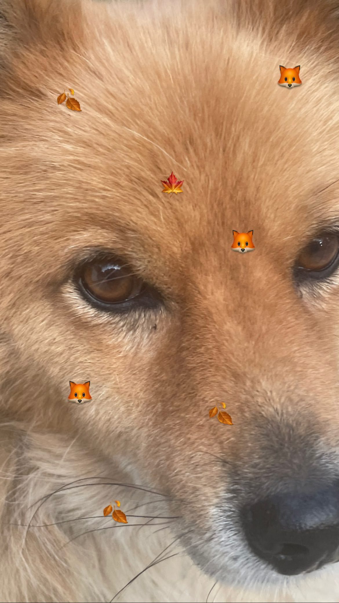はじめまして!