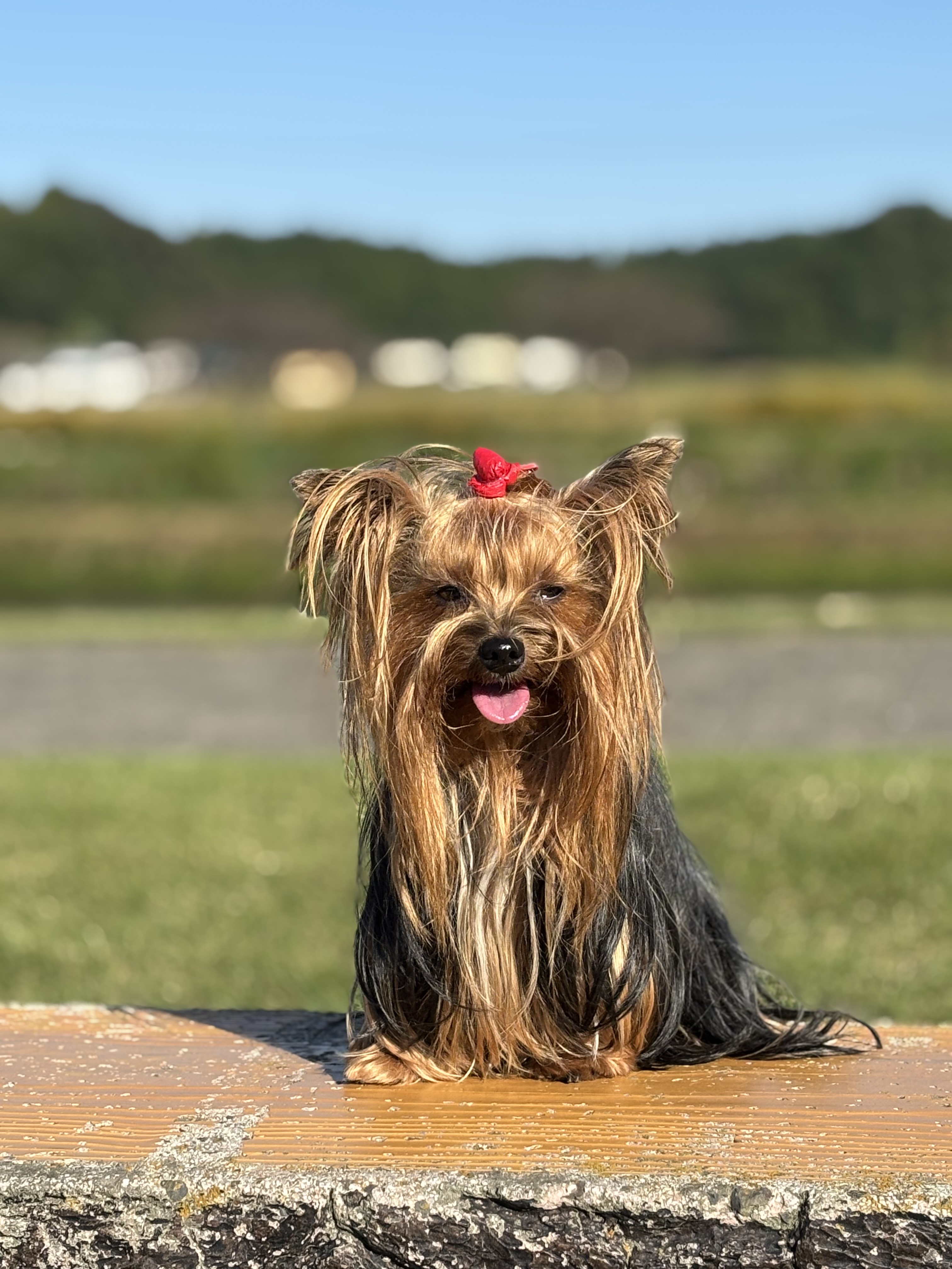 寒くなってきましたね。