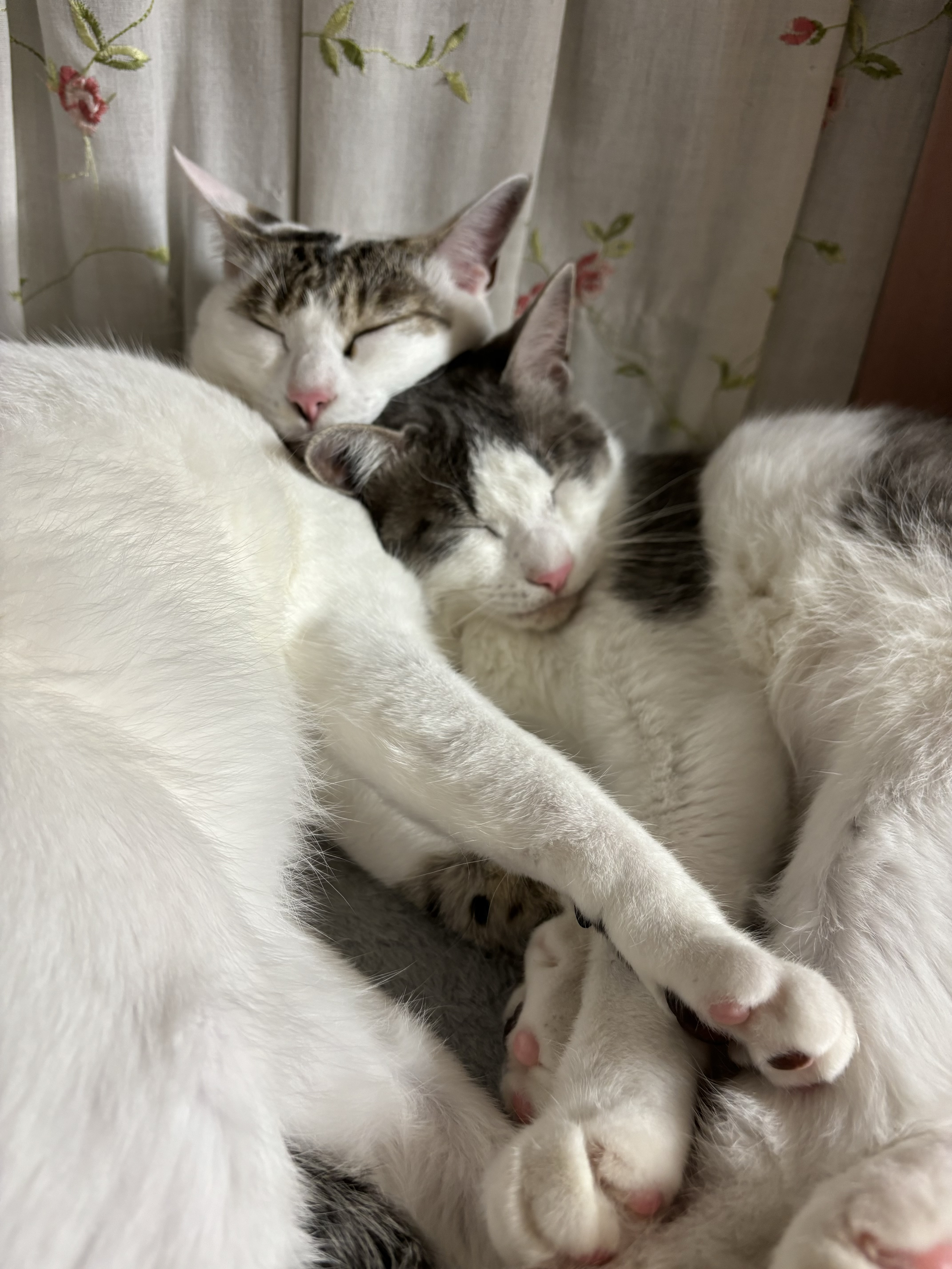 はじめまして！